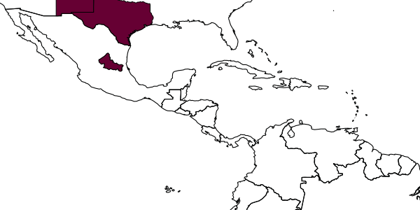 map of Eucerceris morula     Scullen, 1968